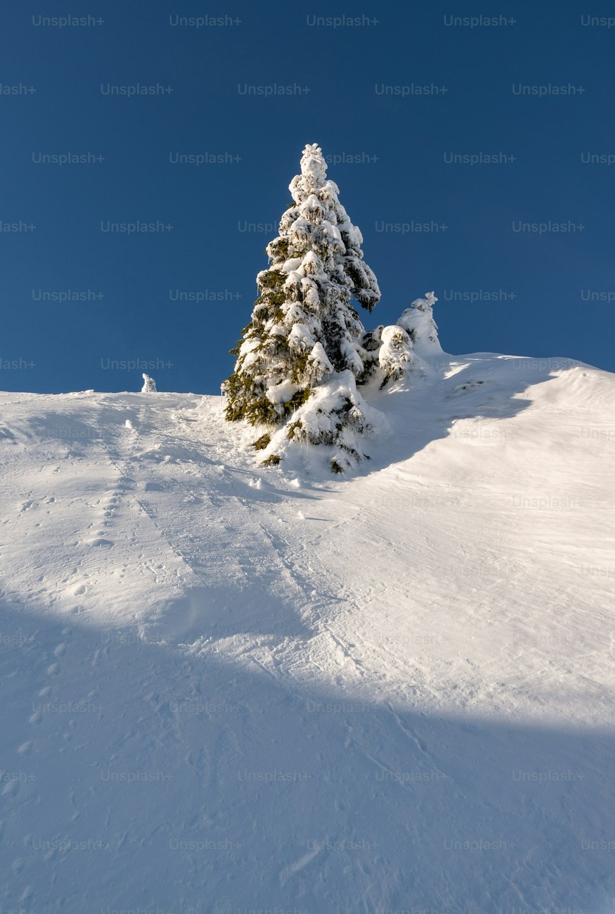 обои freezing, snow