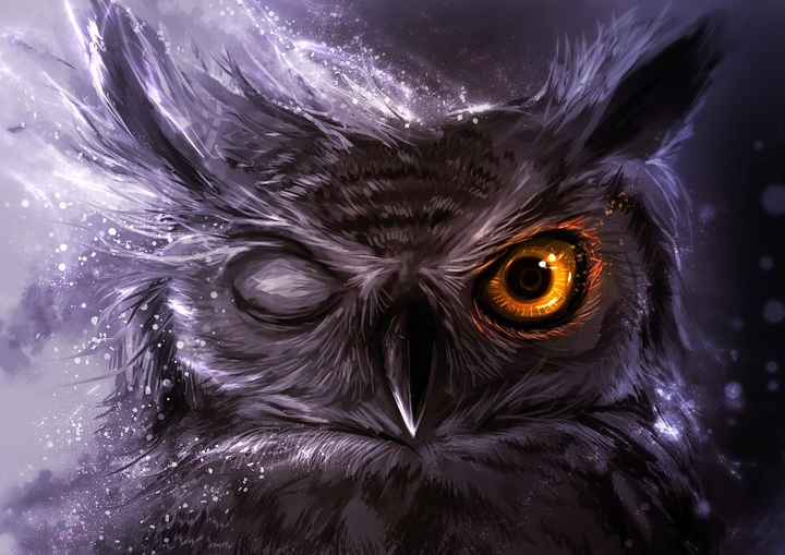 Owl