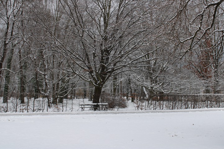 Winter