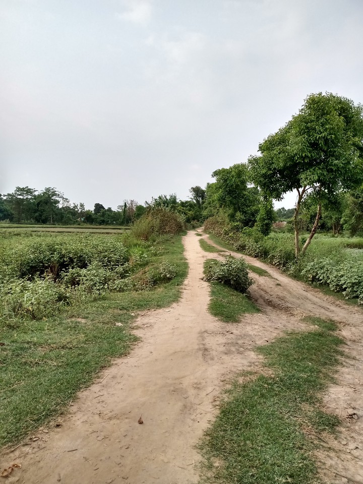 Leading path
