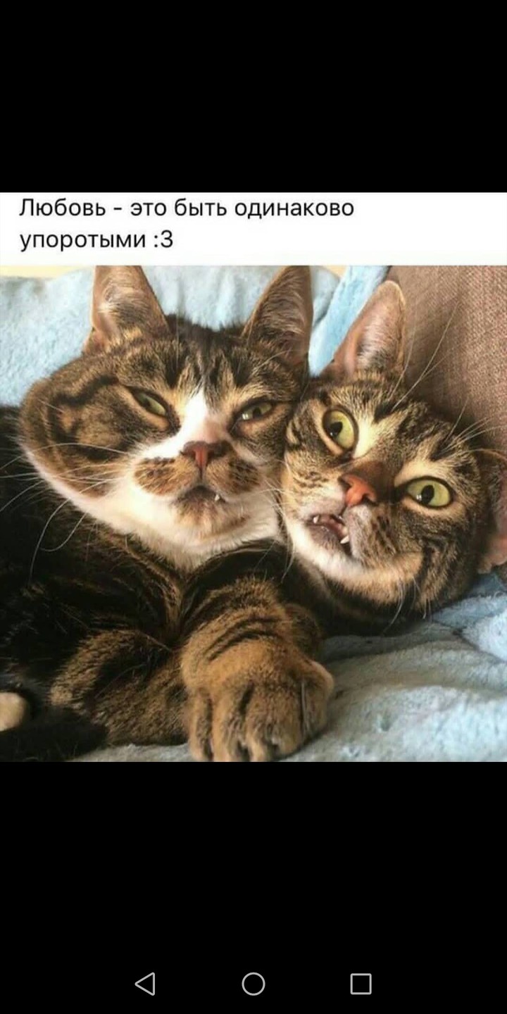 ?
