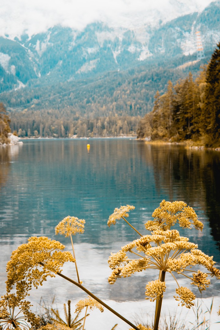 Eibsee