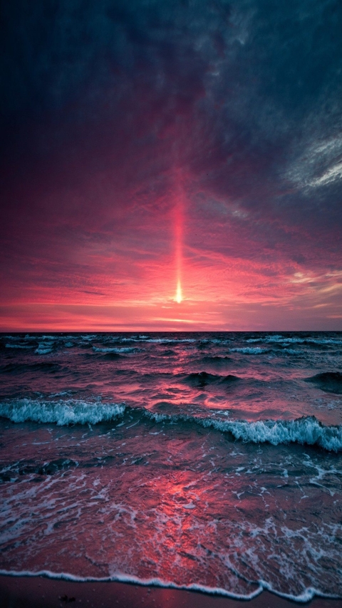 Nature love