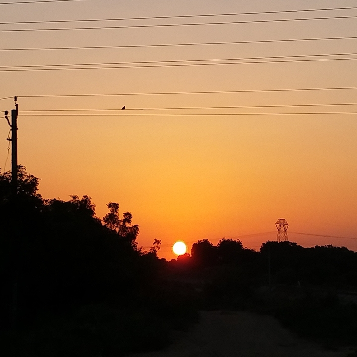 Clicked Sunset during travelling......Nikksss✌☺