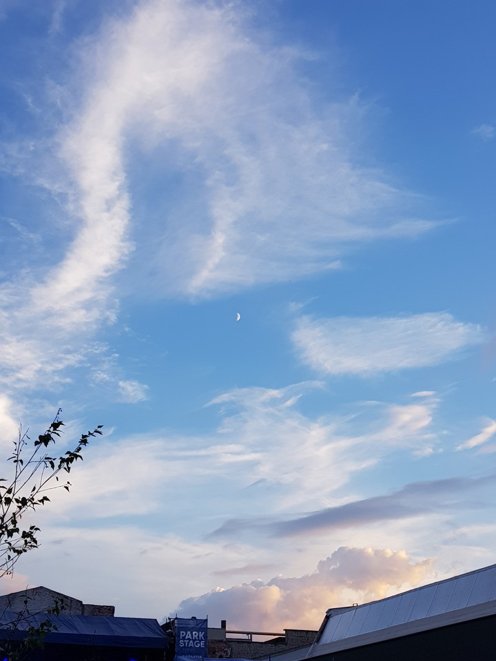 Shy Moon