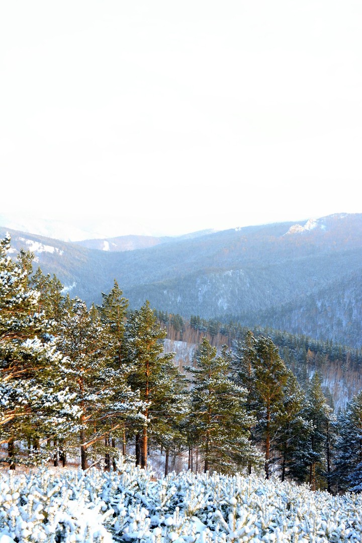 Winter