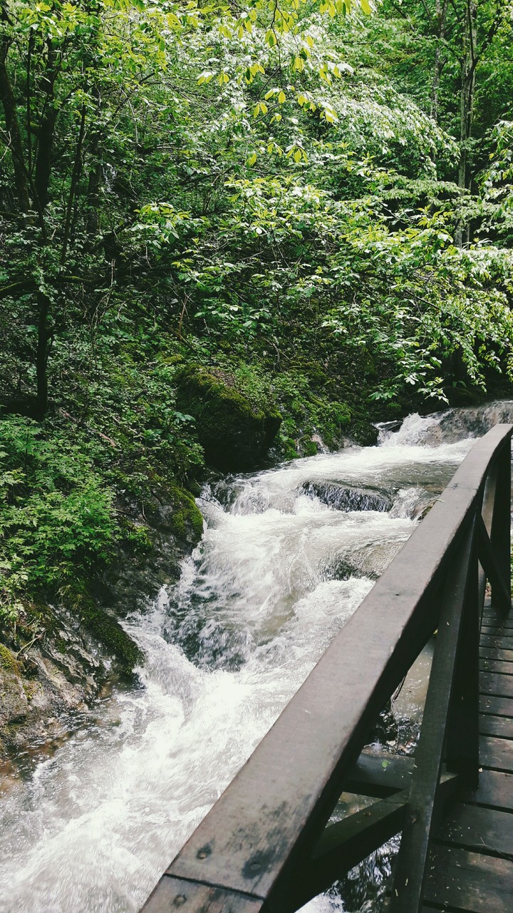 Water