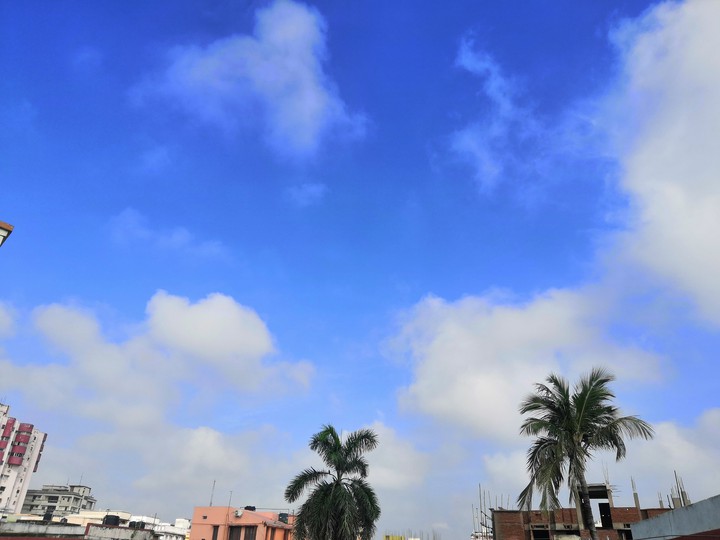 Skies