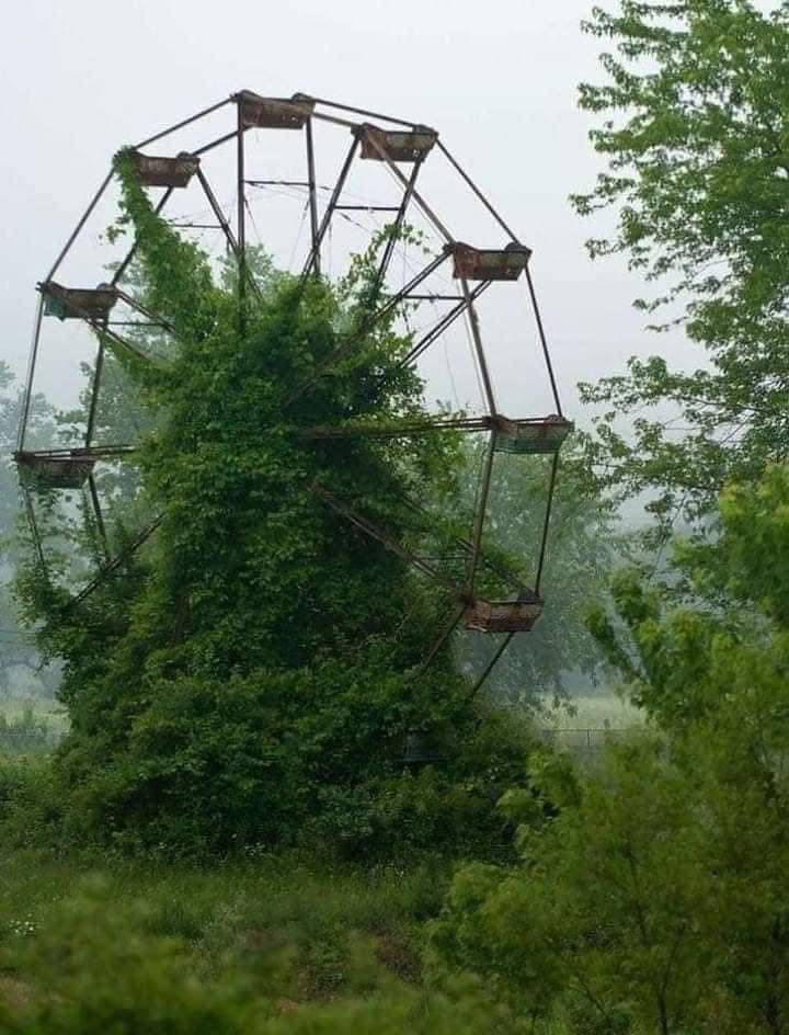 nature