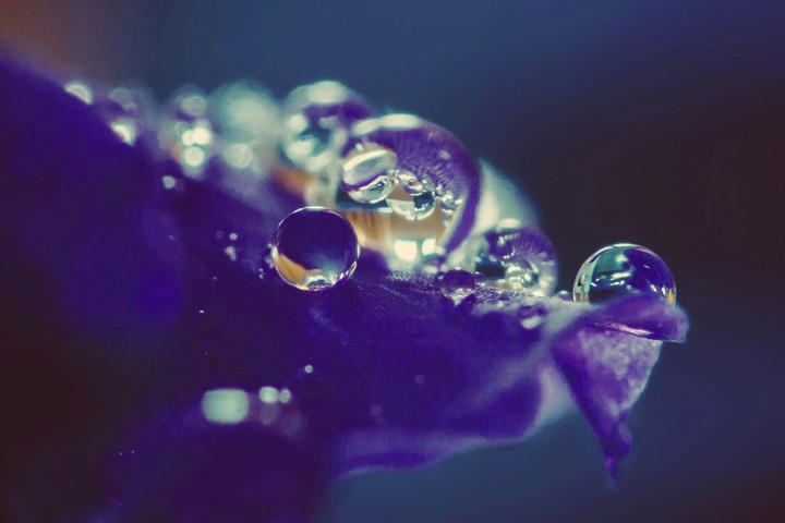 rain