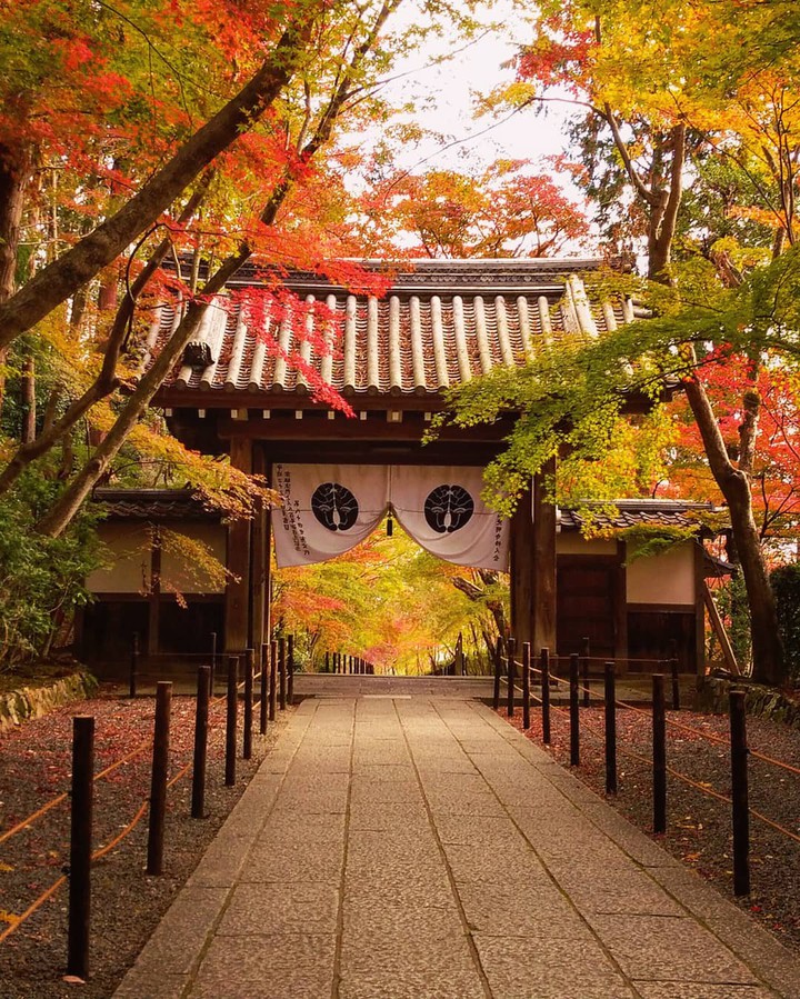 光明寺（報国山念仏三昧院光明寺）