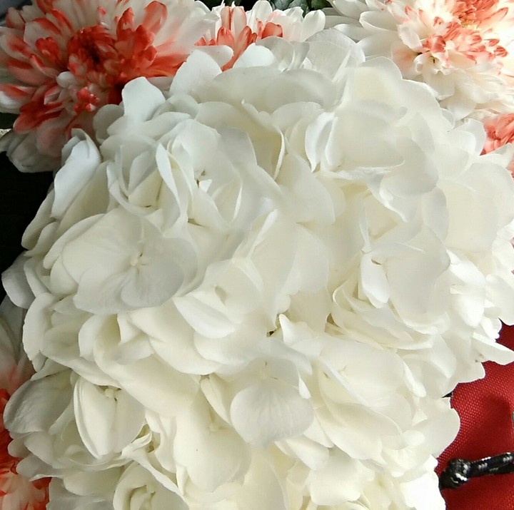 white mood
