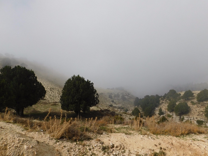 mountain
