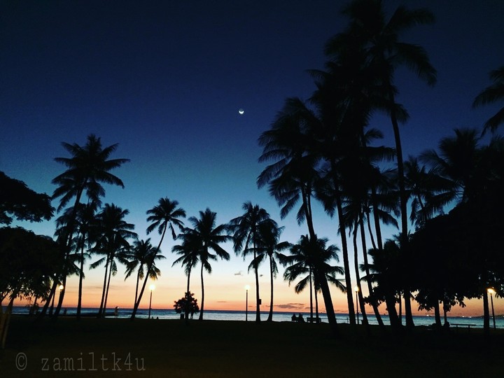 Sea Landscape View