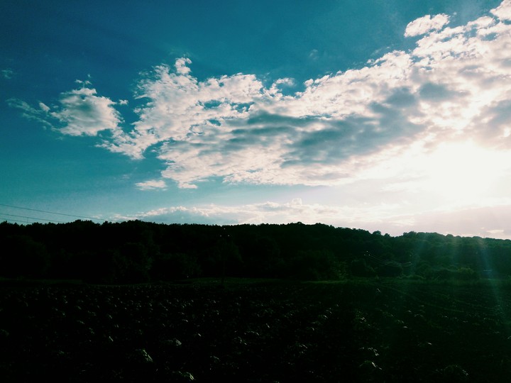 rise