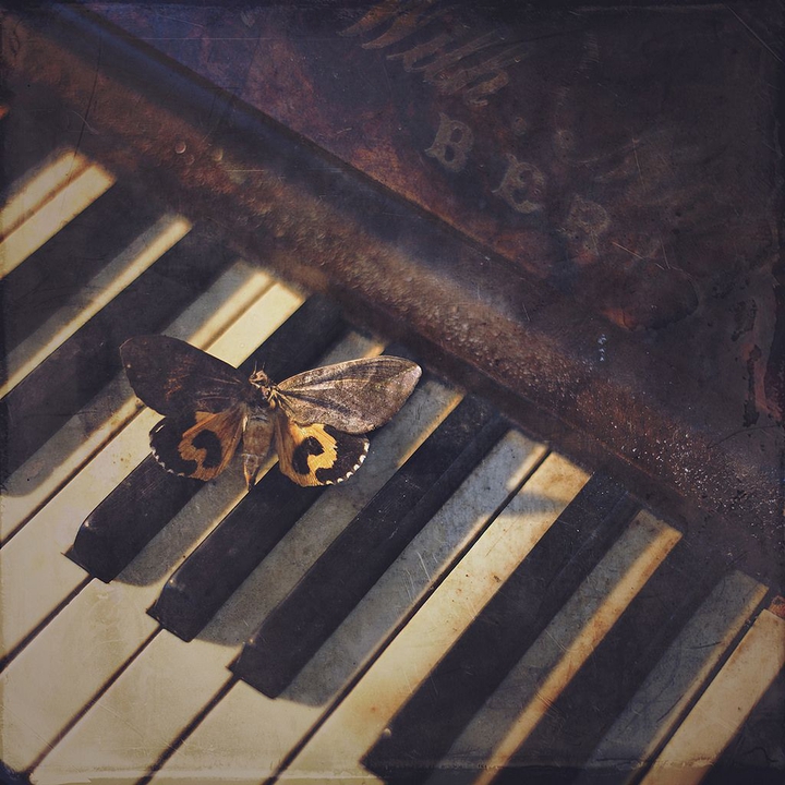 piano ♡
