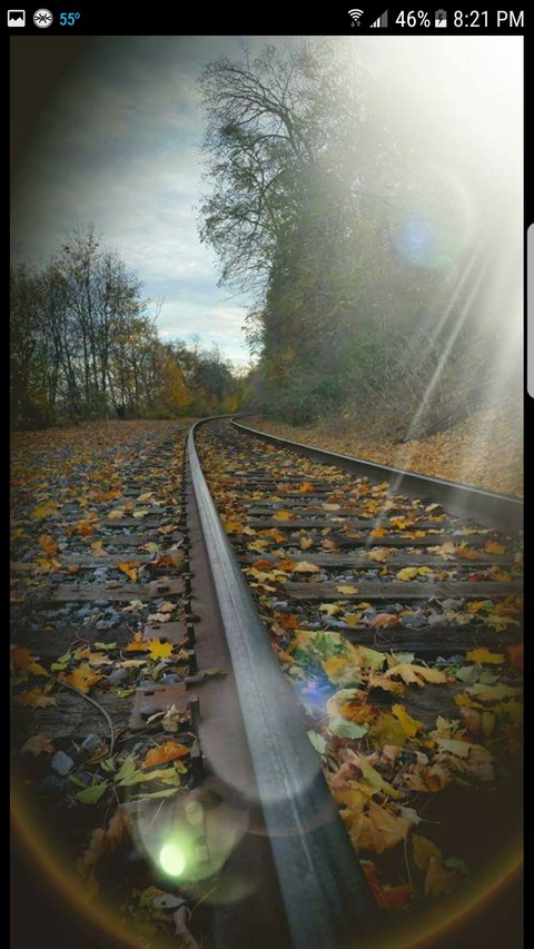 Train tracks