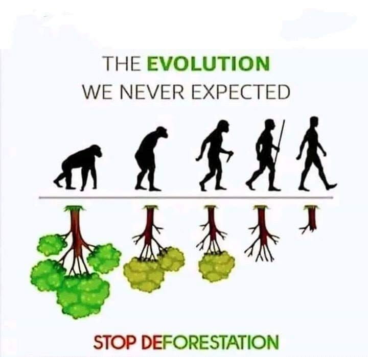 save Environment save life