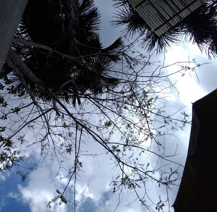 cinza,azul