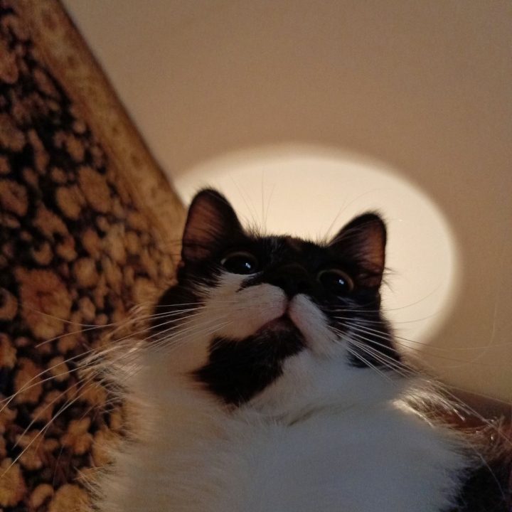 .
