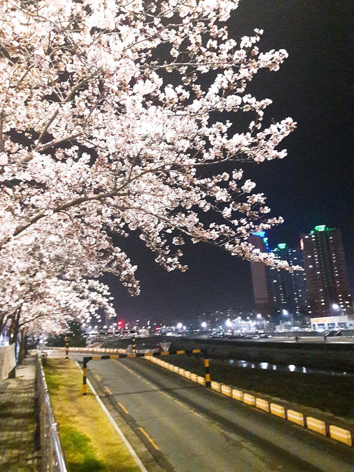 봄