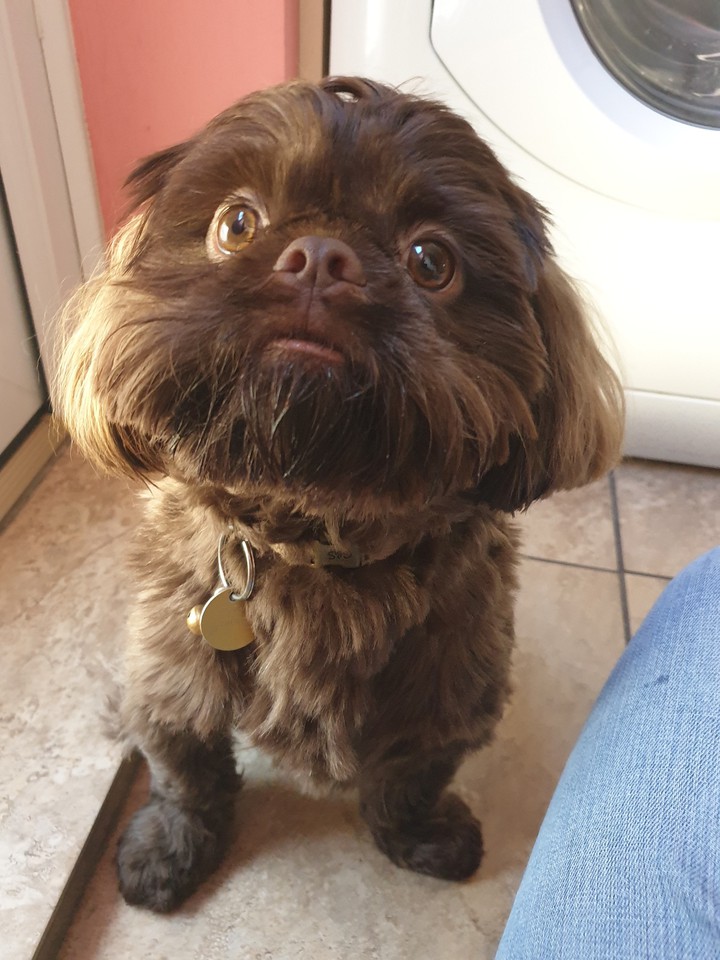 I sit like a good boy!!!!