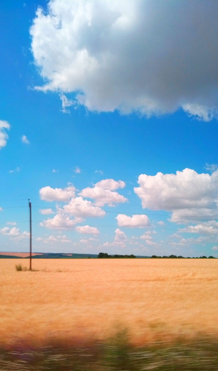 Sky