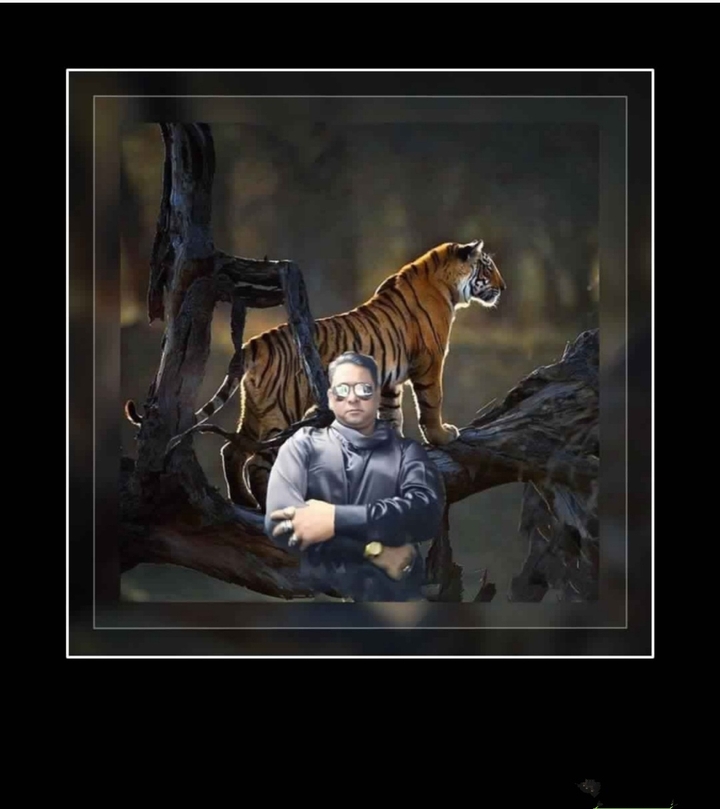tiger