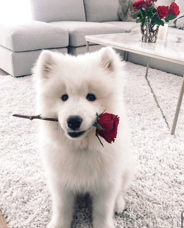 ♥️