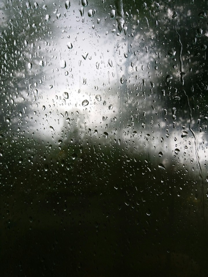 Rain