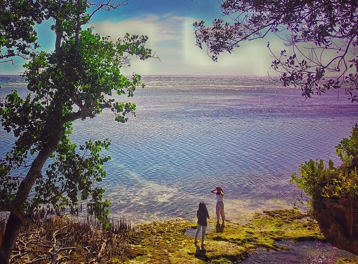 Bohol Adventure