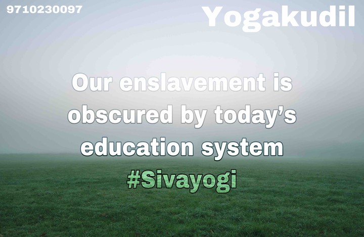Education system