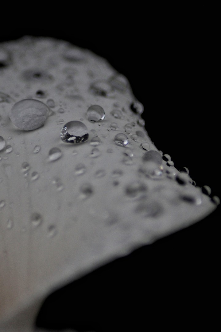 drop of water
