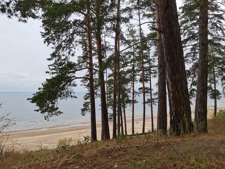 Volga