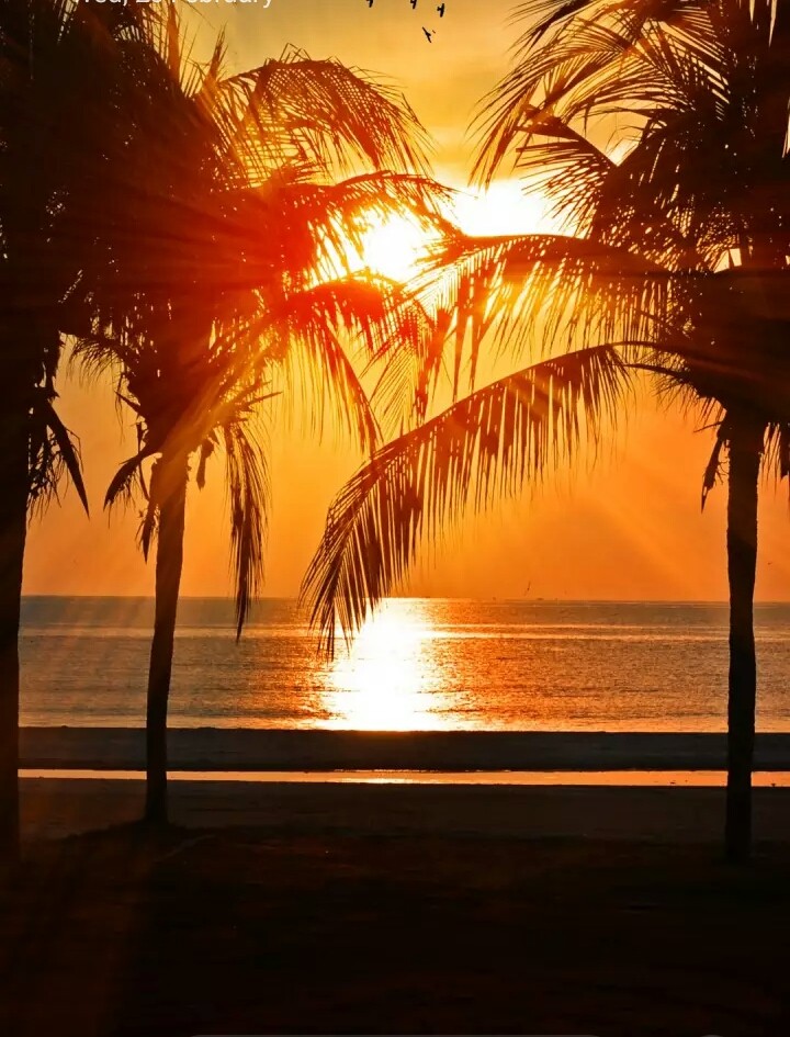 sunset⭐⭐⭐