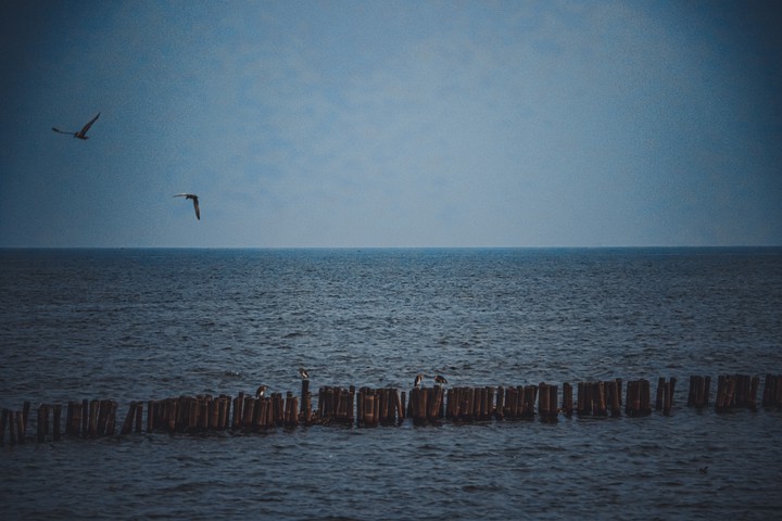 "Sea what I sea.”