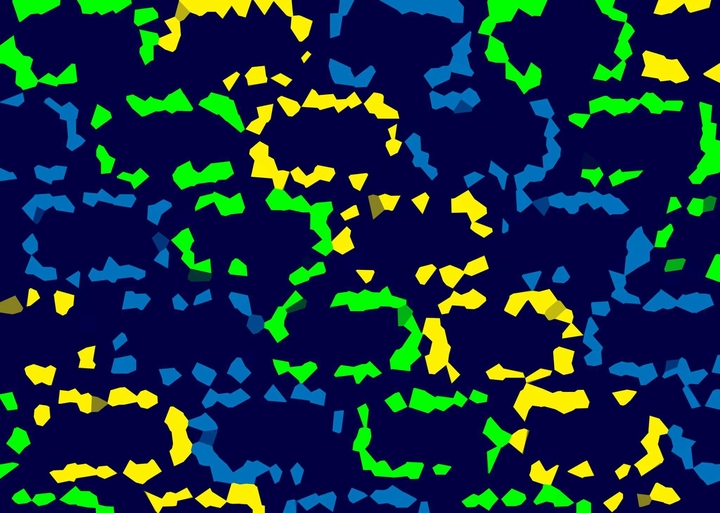 Crystalized rectangles