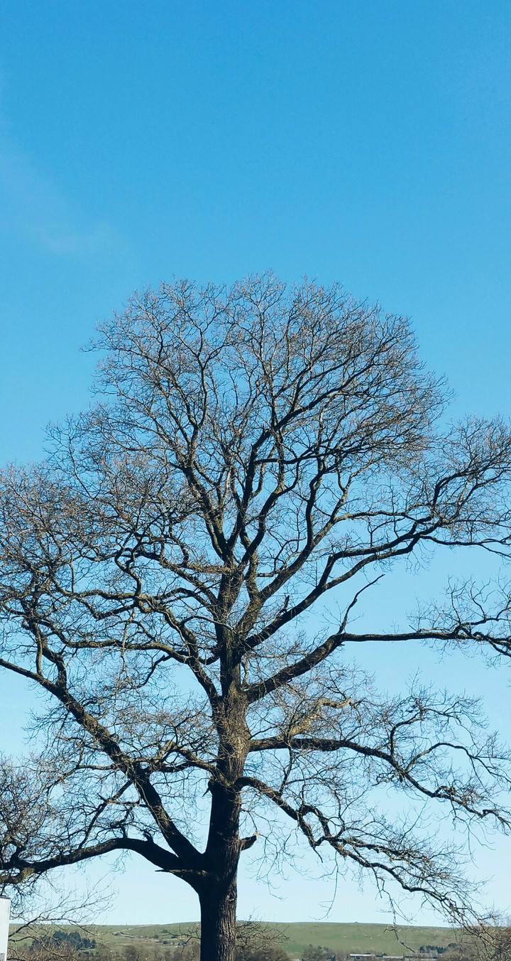 Nearly spring