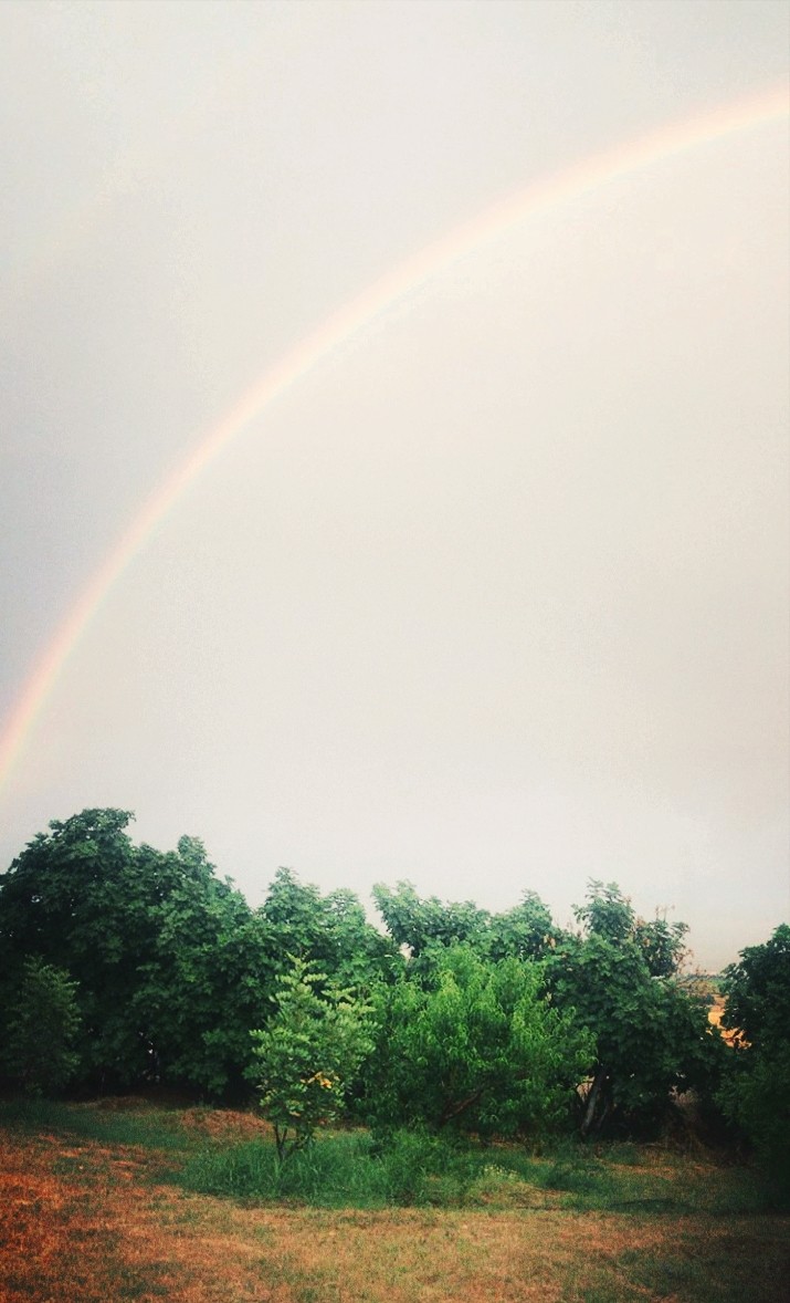 rainbow