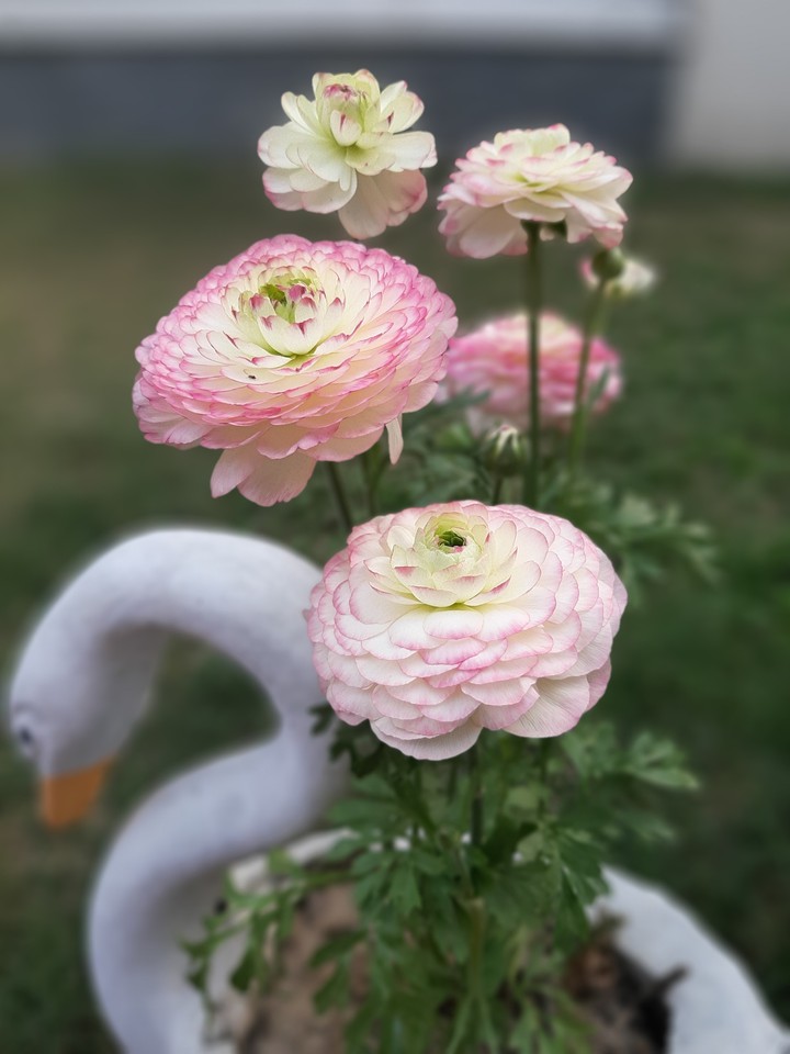 Have a wonderful day !