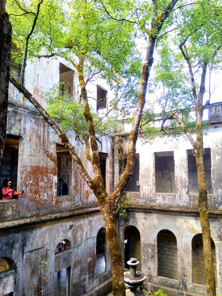 #tree