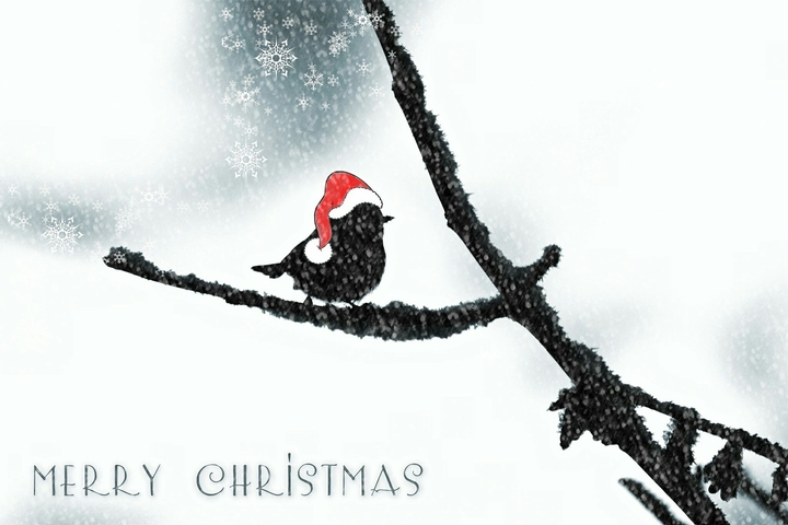 Merry Christmas