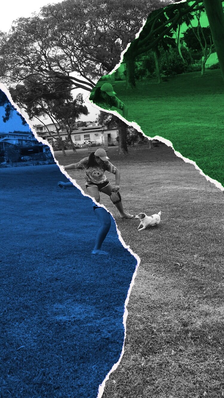 Play with dog