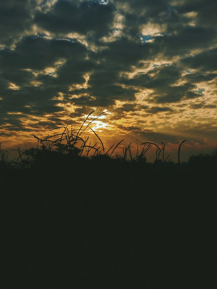 sky view