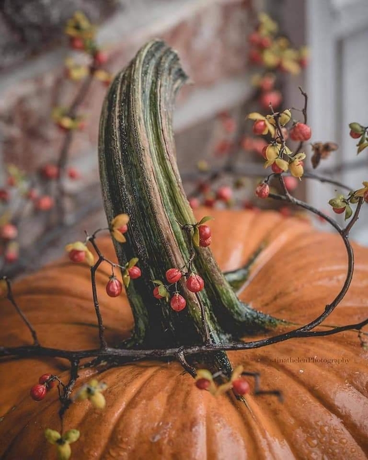 fall