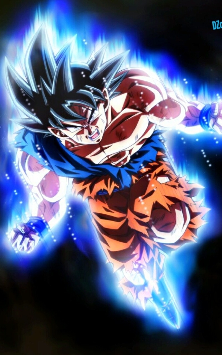 ultra instinct goku