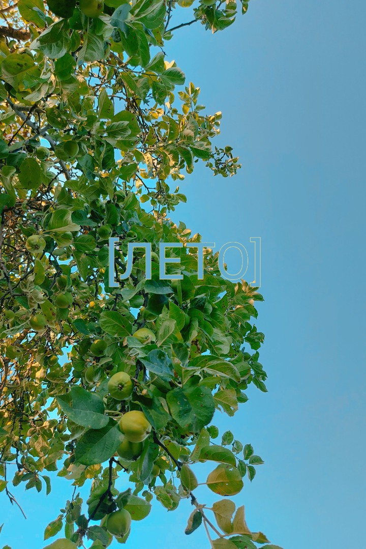 [ЛЕТО]