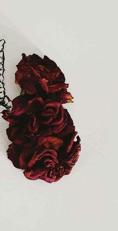 ♡