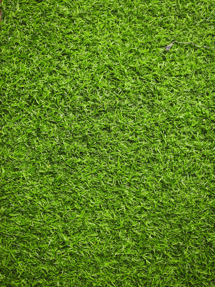 texture of the doormat