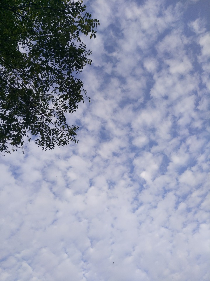 sky